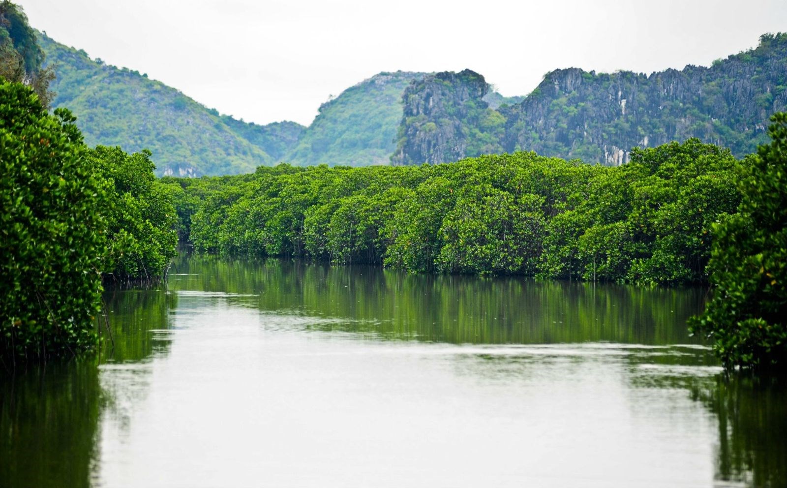 https://mdw-travel-data-us-east-1.s3.amazonaws.com/img/country/Vietnam/Phu-Long-National-Park/img_03.jpg