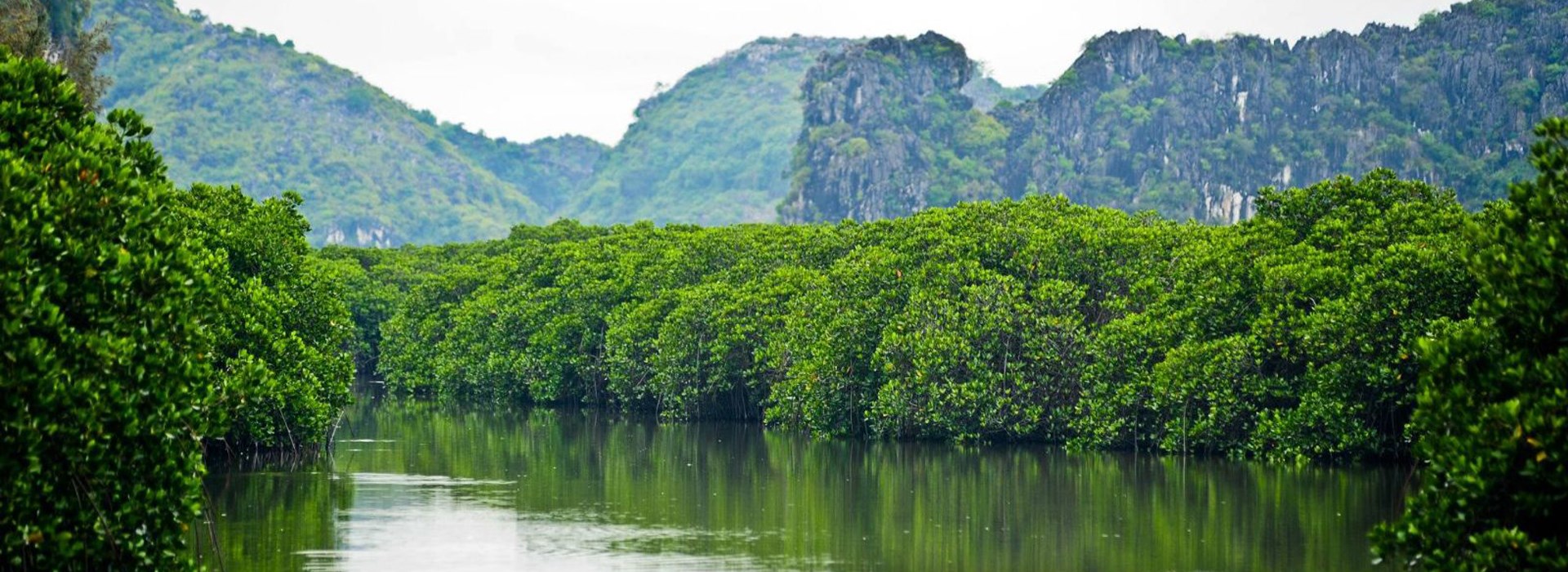 https://mdw-travel-data-us-east-1.s3.amazonaws.com/img/country/Vietnam/Phu-Long-Town/img_01.jpg