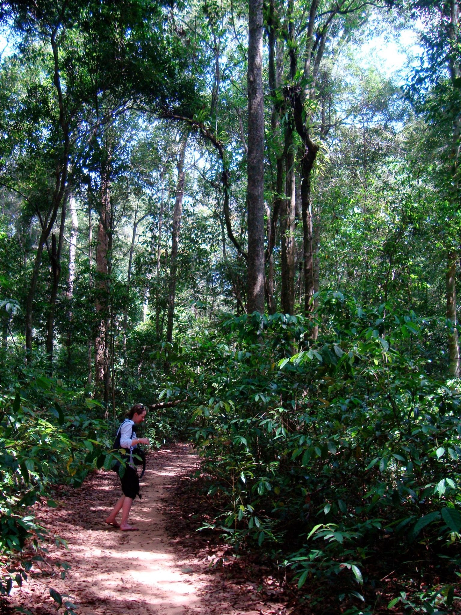 https://mdw-travel-data-us-east-1.s3.amazonaws.com/img/country/Vietnam/Phu-Quoc-National-Park/img_03.jpg