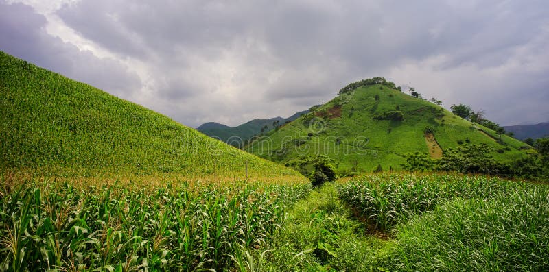 https://mdw-travel-data-us-east-1.s3.amazonaws.com/img/country/Vietnam/Phuong-Mai-Mountain/img_03.jpg