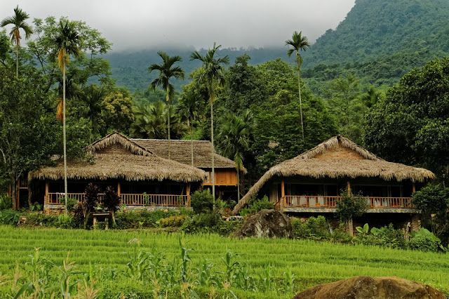 https://mdw-travel-data-us-east-1.s3.amazonaws.com/img/country/Vietnam/Pu-Luong-Nature-Reserve/img_03.jpg
