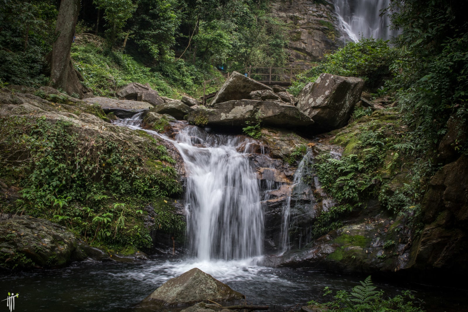 https://mdw-travel-data-us-east-1.s3.amazonaws.com/img/country/Vietnam/Pu-Mat-National-Park/img_00.jpg