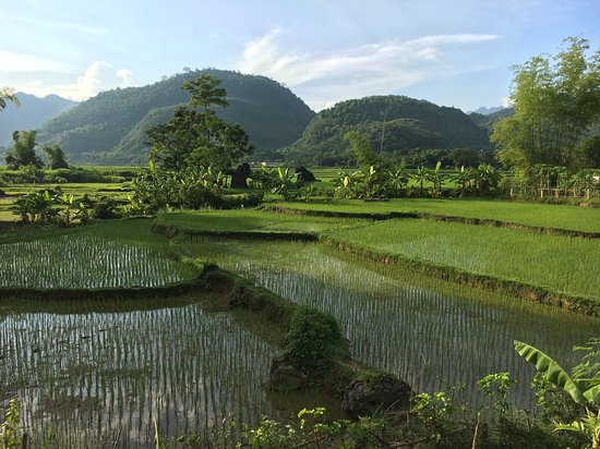 https://mdw-travel-data-us-east-1.s3.amazonaws.com/img/country/Vietnam/Pu-Mat-National-Park/img_03.jpg