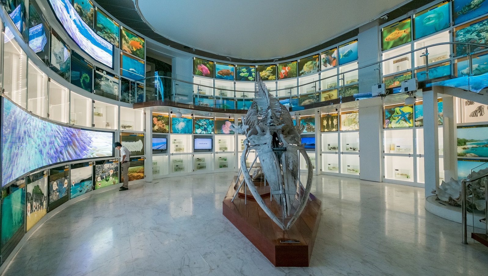 https://mdw-travel-data-us-east-1.s3.amazonaws.com/img/country/Vietnam/Quang-Ninh-Museum/img_00.jpg