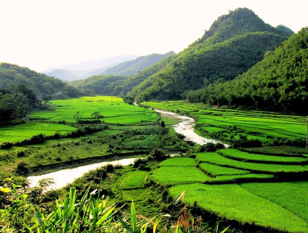 https://mdw-travel-data-us-east-1.s3.amazonaws.com/img/country/Vietnam/Quynh-Nhai-Provincial-Nature-Reserve/img_02.jpg