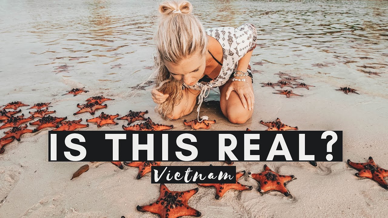 https://mdw-travel-data-us-east-1.s3.amazonaws.com/img/country/Vietnam/Starfish-Beach/img_02.jpg
