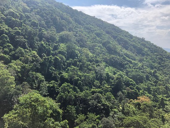 https://mdw-travel-data-us-east-1.s3.amazonaws.com/img/country/Vietnam/Ta-Cu-Mountain/img_01.jpg