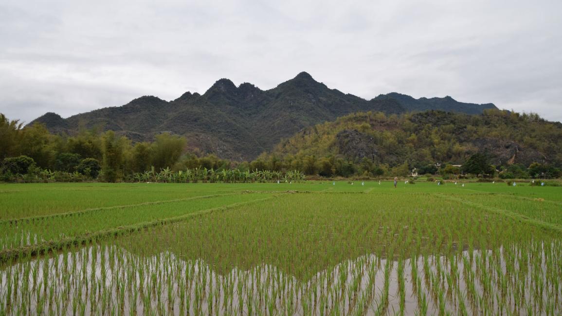 https://mdw-travel-data-us-east-1.s3.amazonaws.com/img/country/Vietnam/Thung-Khe-Pass/img_04.jpg