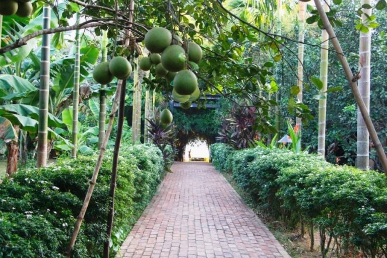 https://mdw-travel-data-us-east-1.s3.amazonaws.com/img/country/Vietnam/Thuy-Bieu-Village/img_01.jpg
