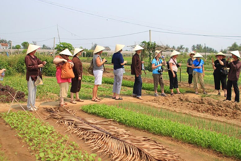 https://mdw-travel-data-us-east-1.s3.amazonaws.com/img/country/Vietnam/Tra-Que-Vegetable-Village/img_00.jpg