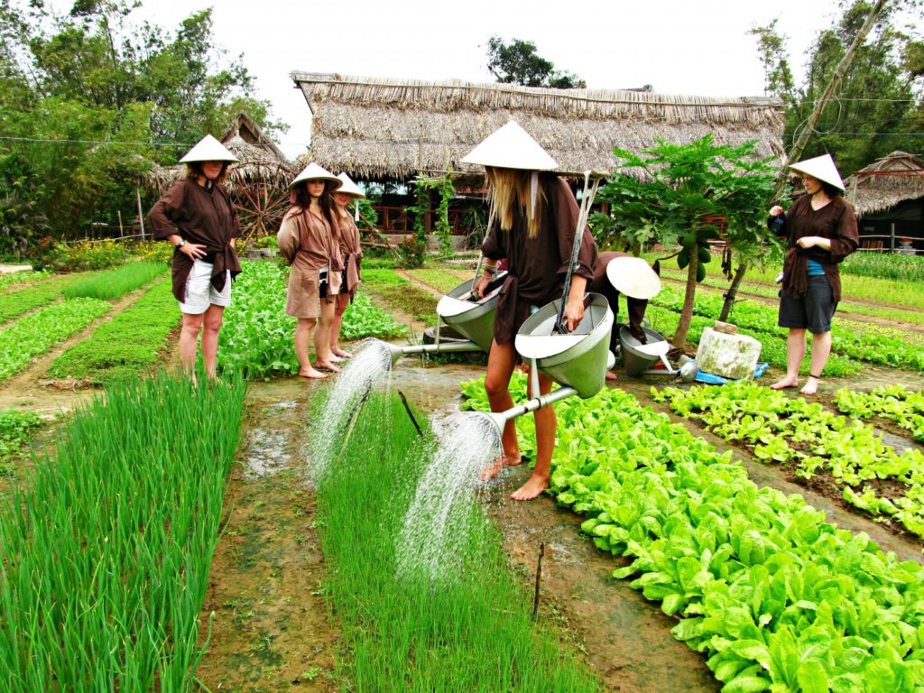 https://mdw-travel-data-us-east-1.s3.amazonaws.com/img/country/Vietnam/Tra-Que-Vegetable-Village/img_02.jpg