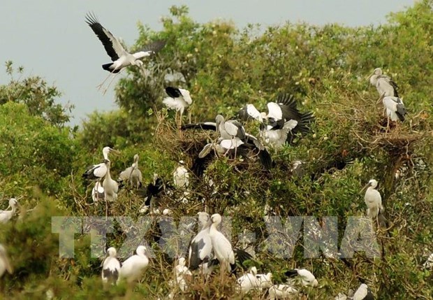 https://mdw-travel-data-us-east-1.s3.amazonaws.com/img/country/Vietnam/Tram-Chim-National-Park/img_01.jpg
