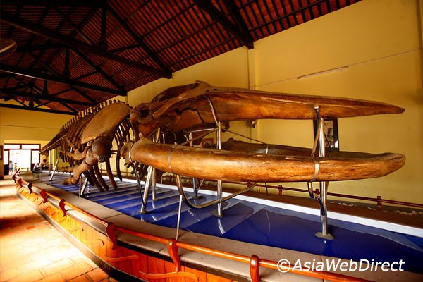https://mdw-travel-data-us-east-1.s3.amazonaws.com/img/country/Vietnam/Van-Thuy-Tu-Temple/img_03.jpg