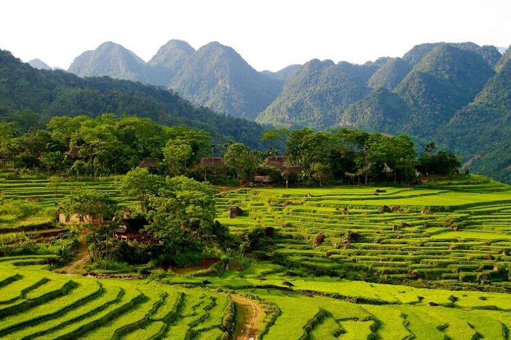 https://mdw-travel-data-us-east-1.s3.amazonaws.com/img/country/Vietnam/Vinh-Long-Province/img_01.jpg