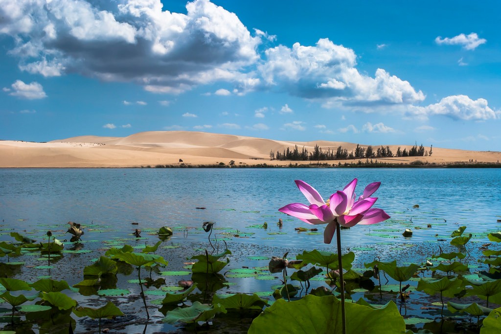https://mdw-travel-data-us-east-1.s3.amazonaws.com/img/country/Vietnam/White-Lake--Bau-Trang-/img_01.jpg
